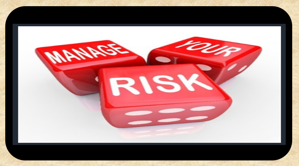 Modules for Risk management system