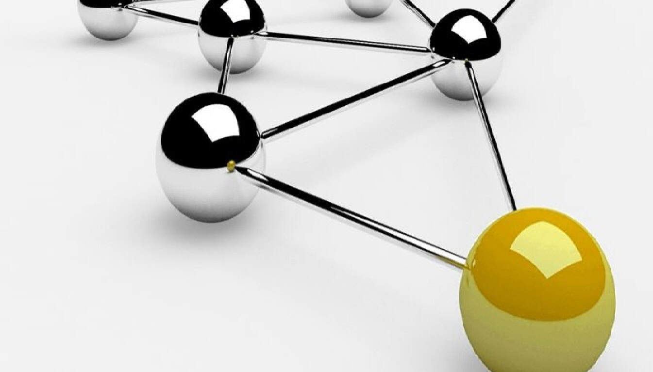 Essential Management Skills for Business Growth
