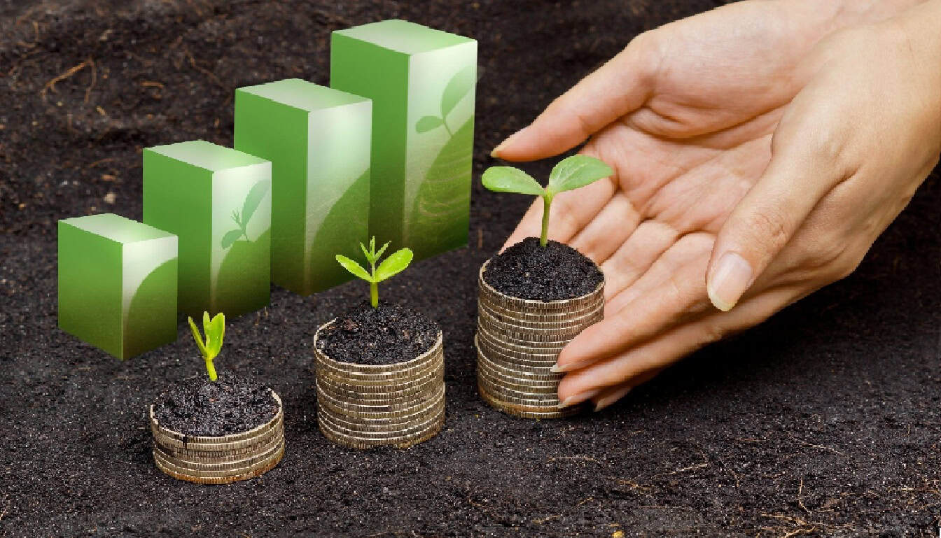 sustainability profitability