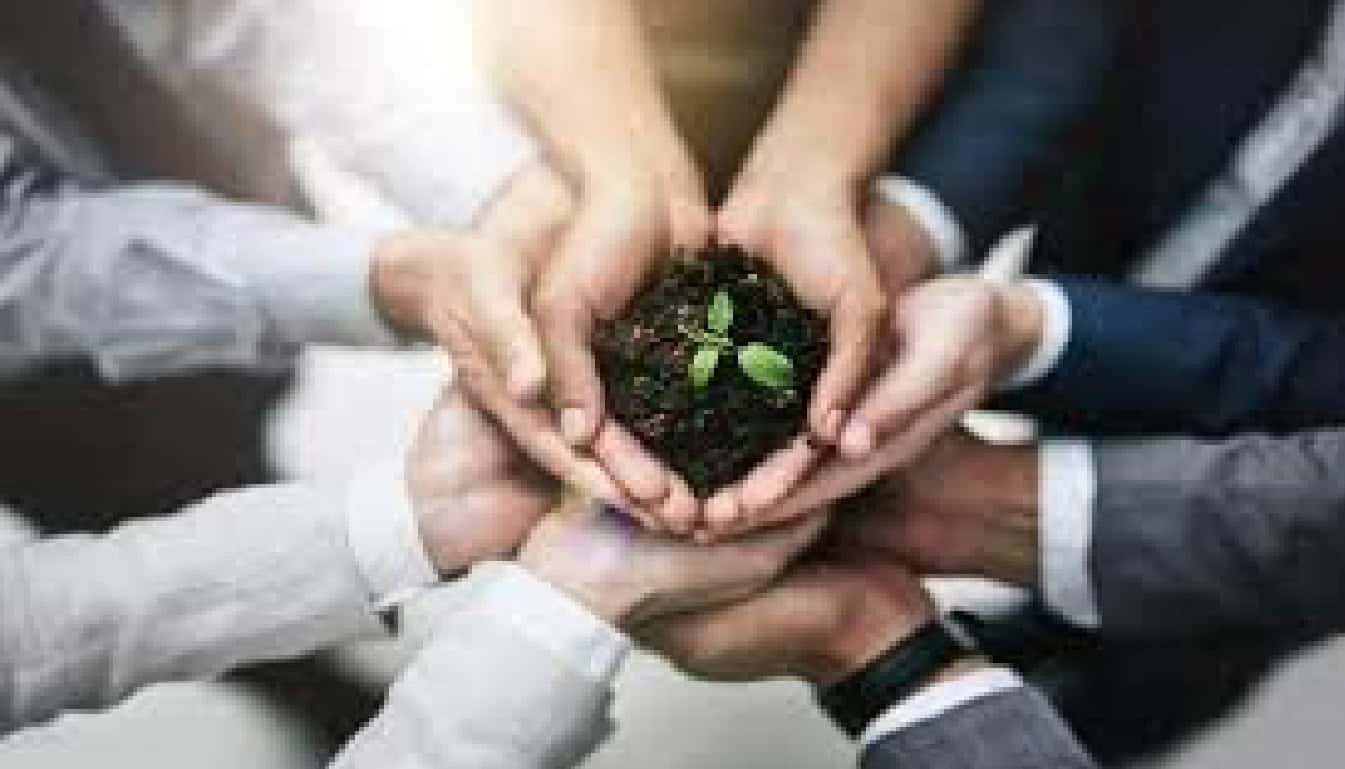 Effective-Team-Development-Best-Practices